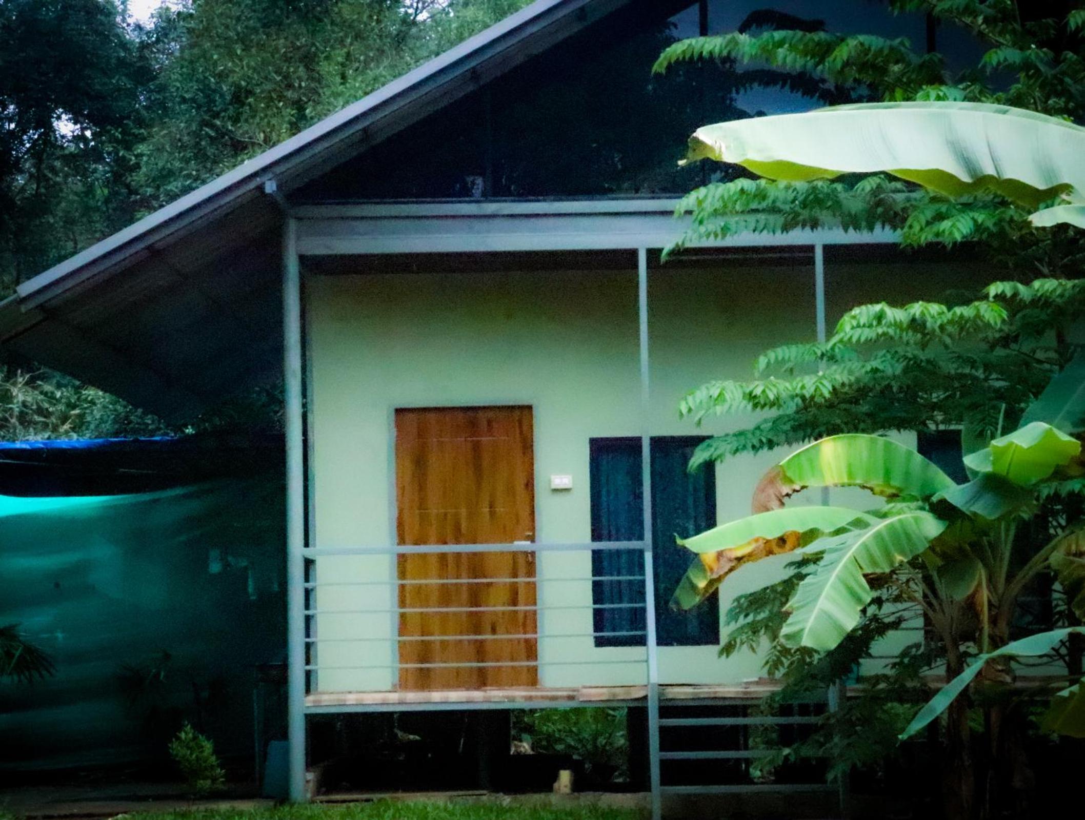 DAFFODILS villa