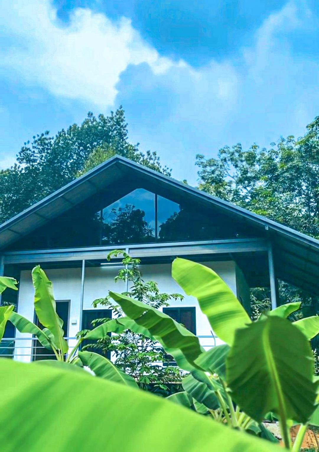 DAFFODILS villa