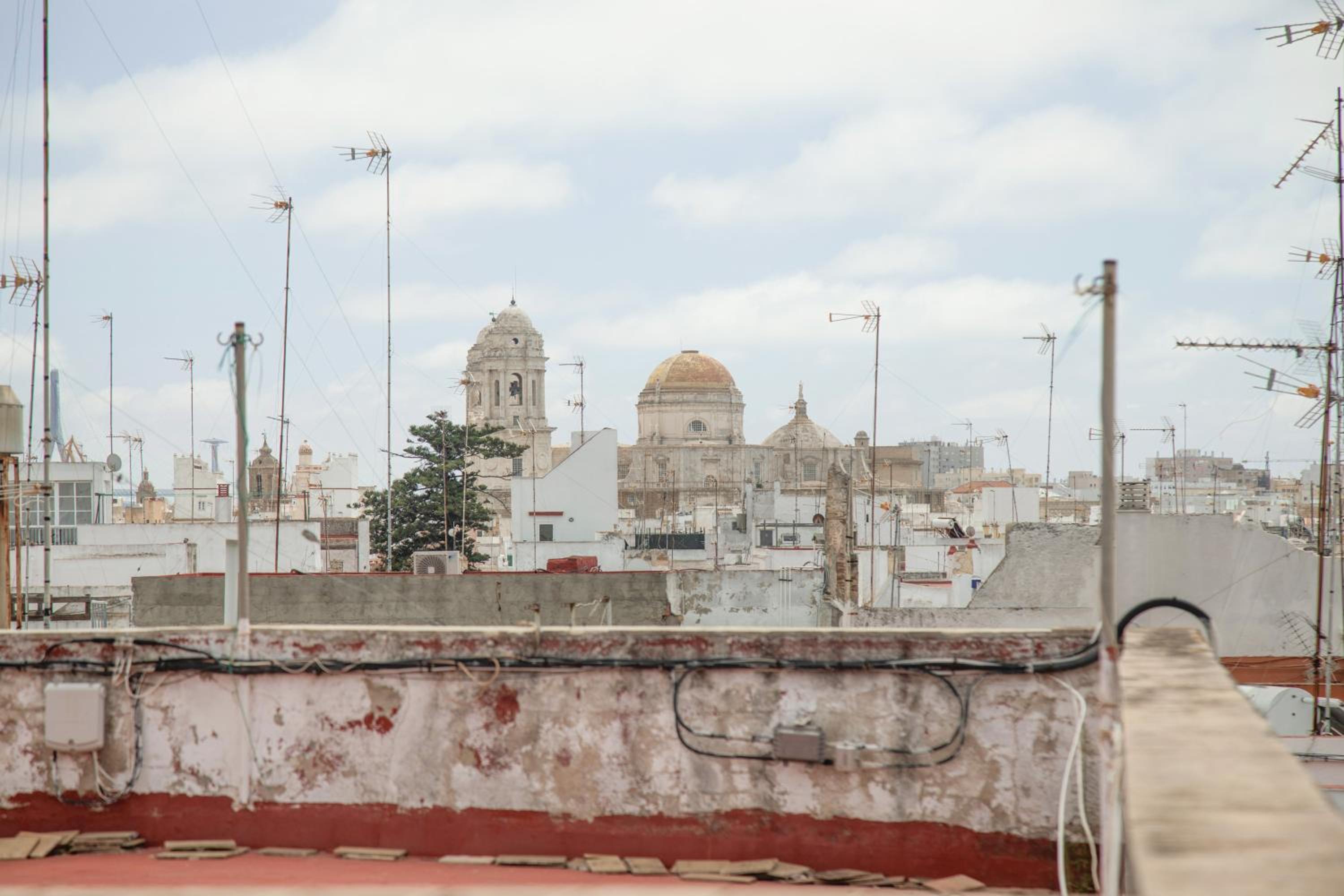 roof