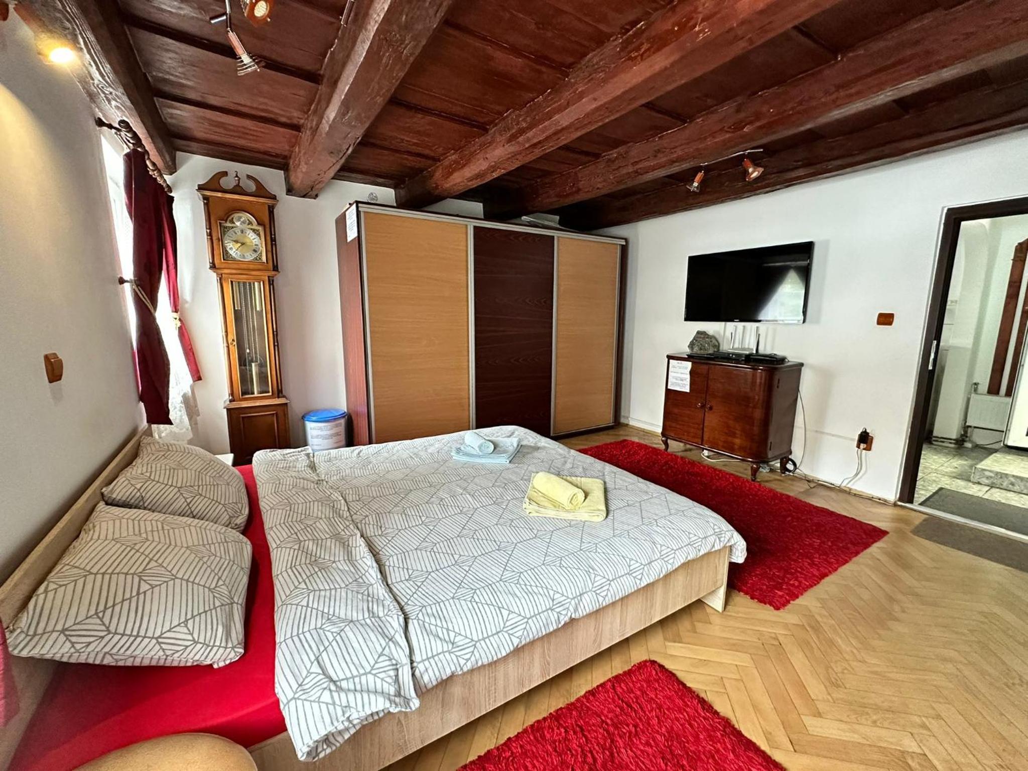 Casa Nicolae Teclu view 5