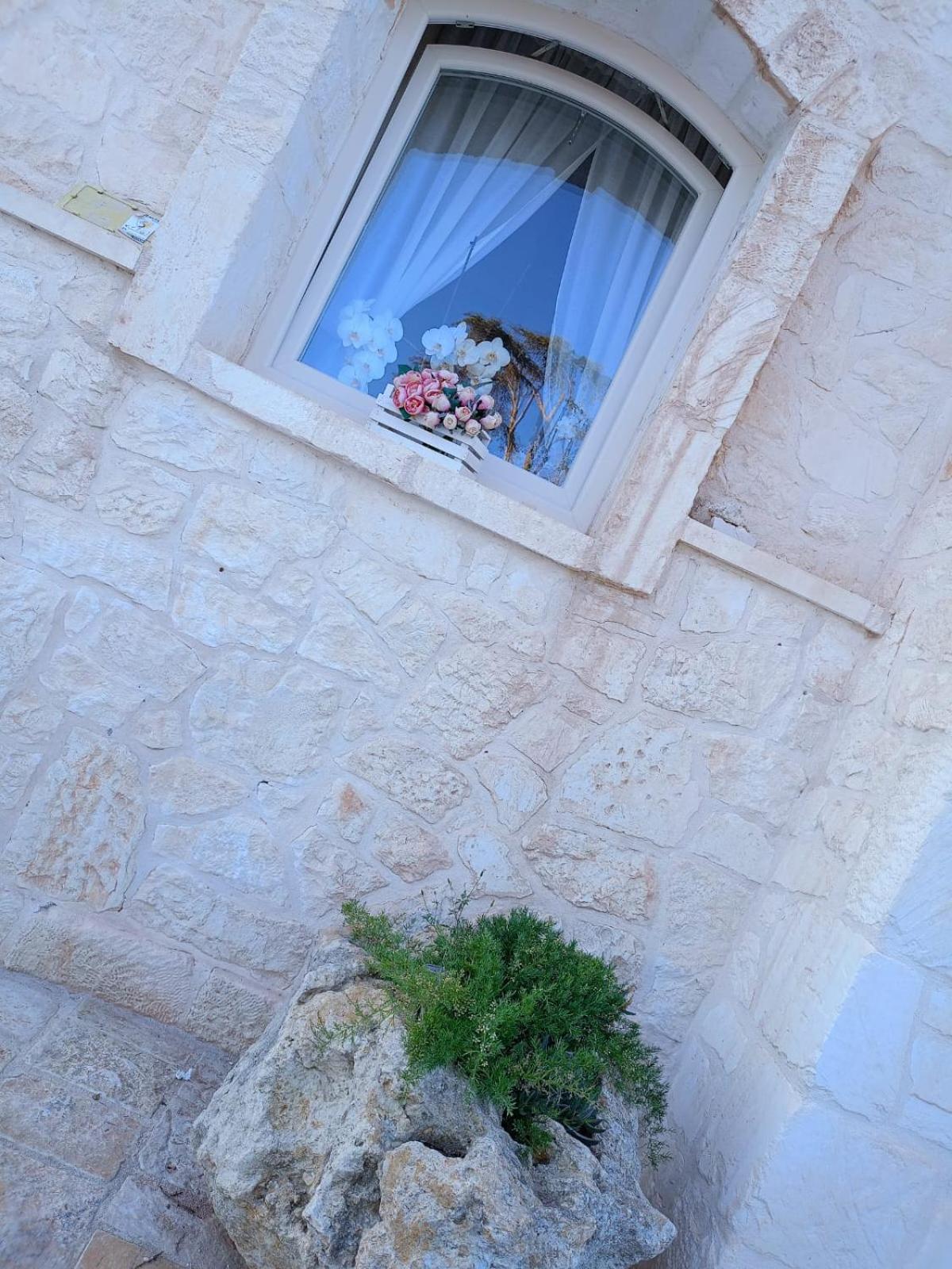 Villa Brachychiton