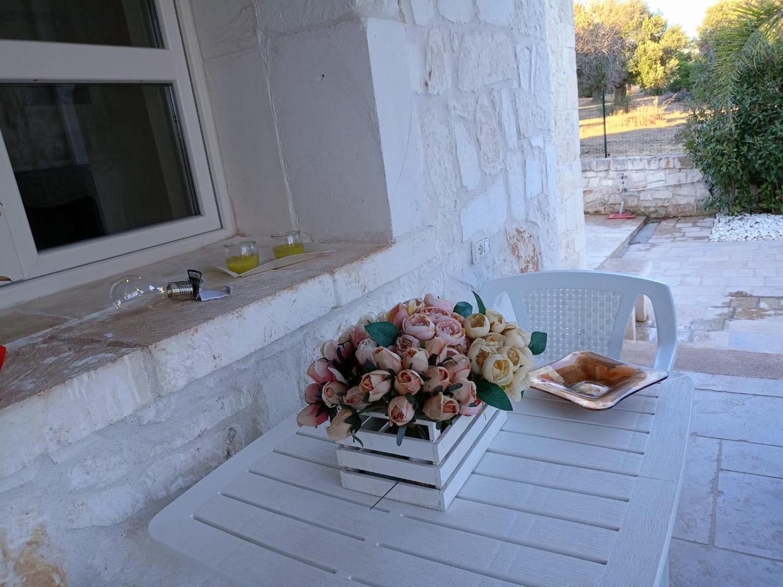 Villa Brachychiton
