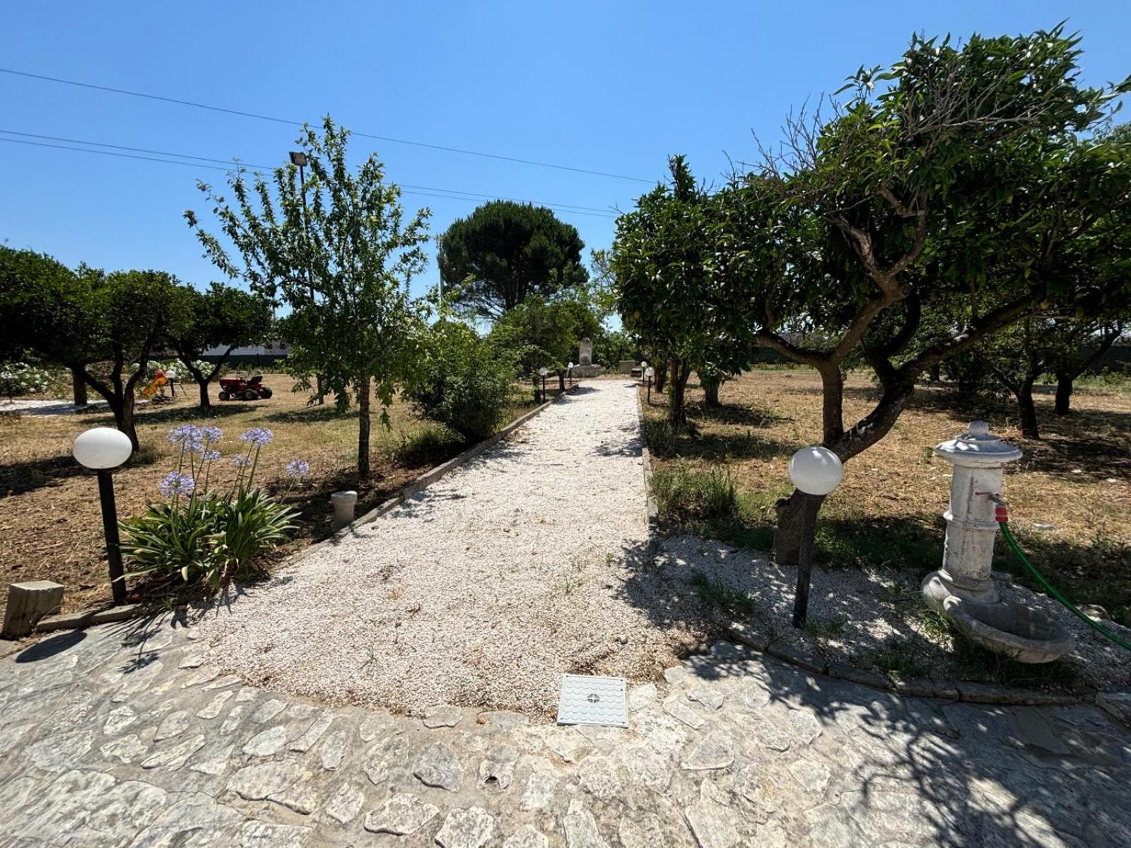 Tenuta Pizzi view 2