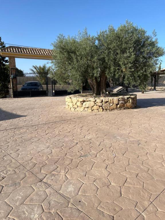 Villa Los Siete Olivos