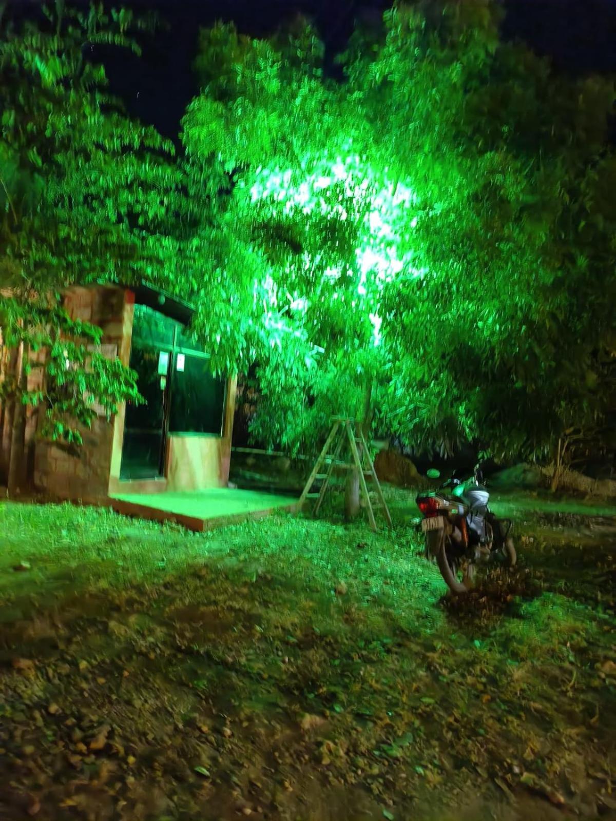 Photo 21