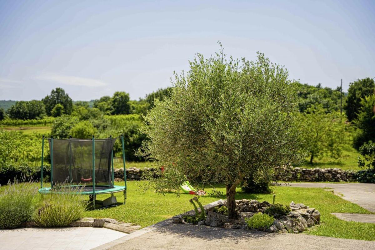 Villa Mendula in Čambarelići - Haus für 6-7 Personen view 5