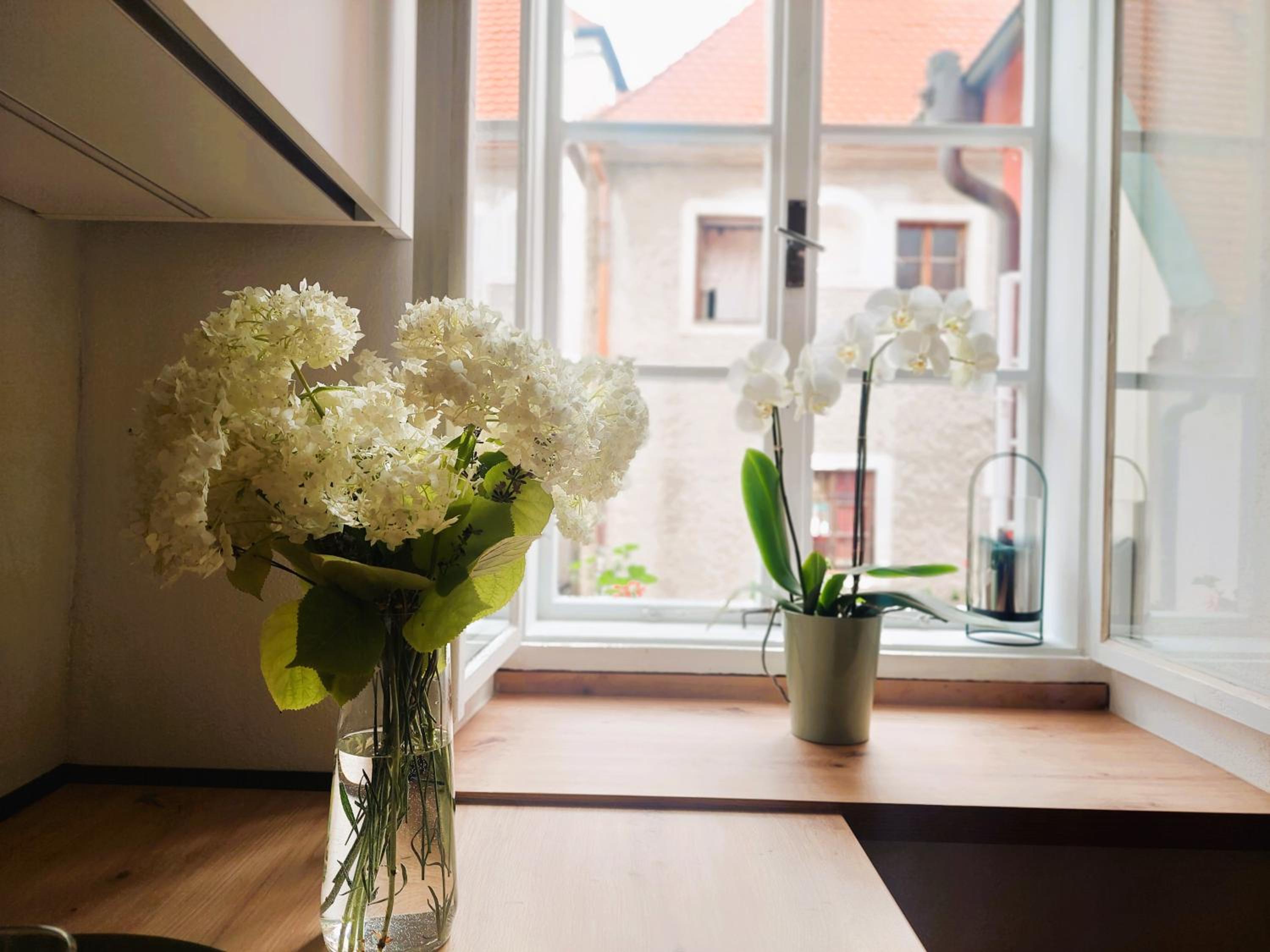 Old Town Living Apartments