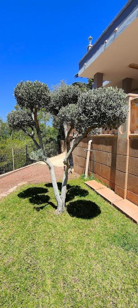 Villa Capllonch photo 5