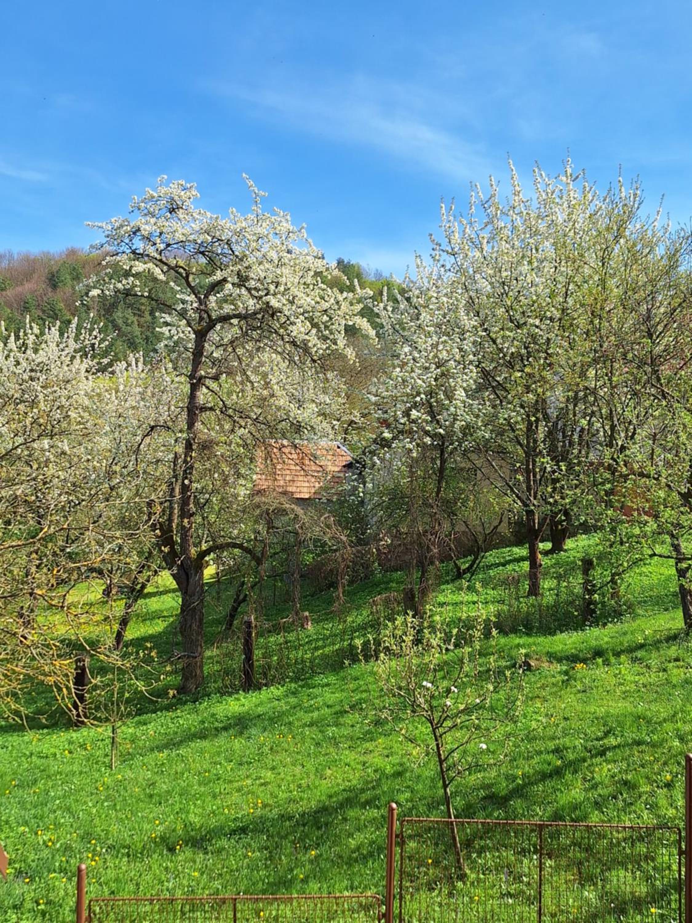 Vila Albert view 3