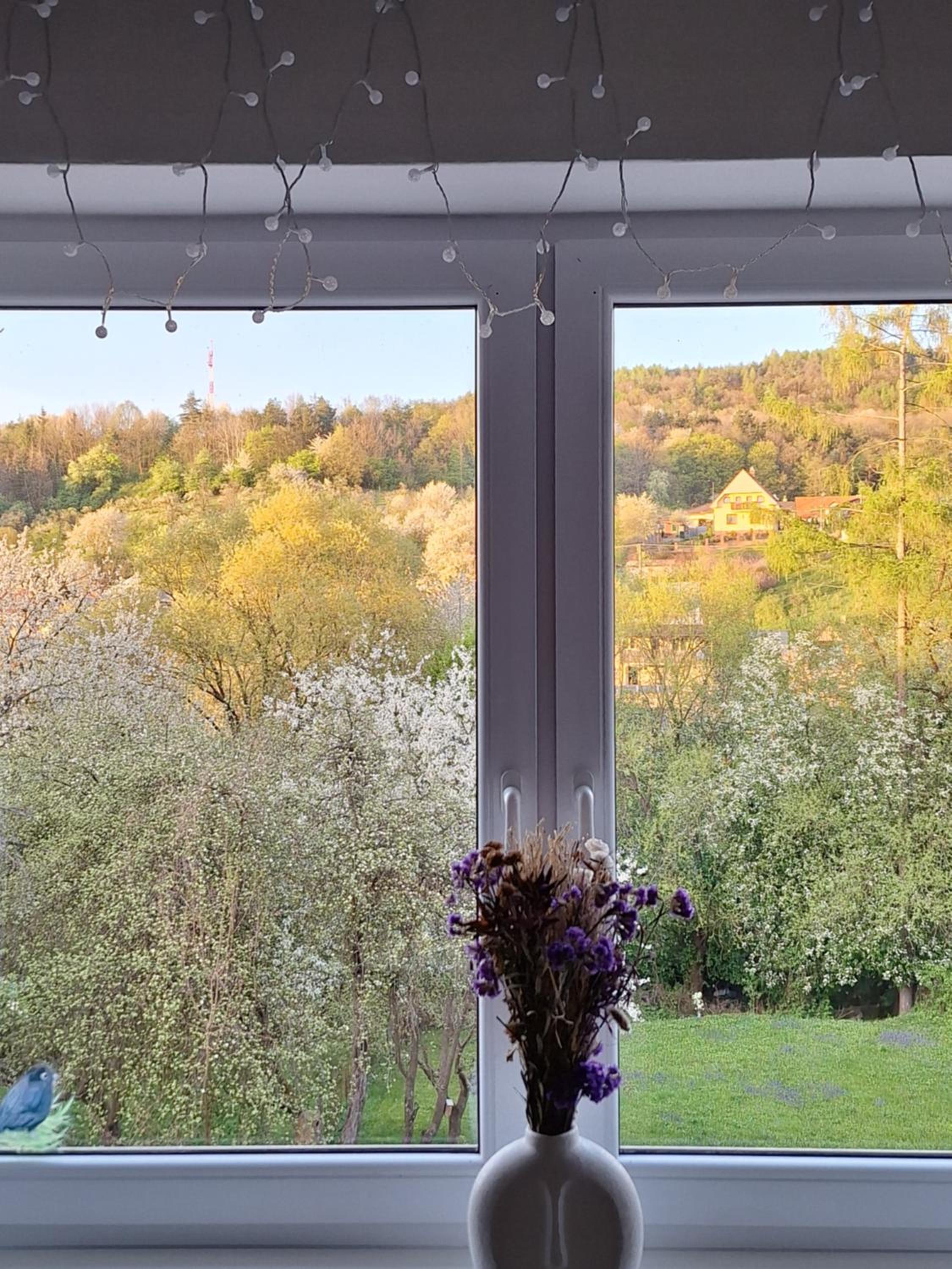 Vila Albert view 5