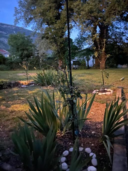 Idylle in der Natur mit Burgblick view 3