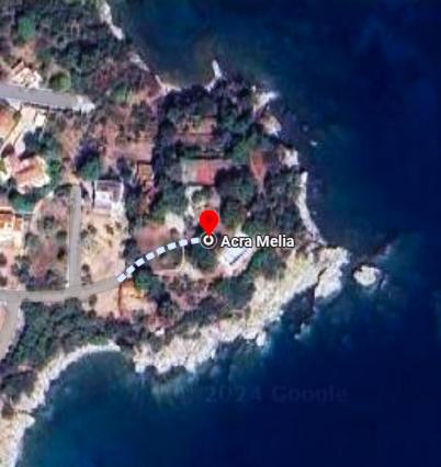 Acra Melia