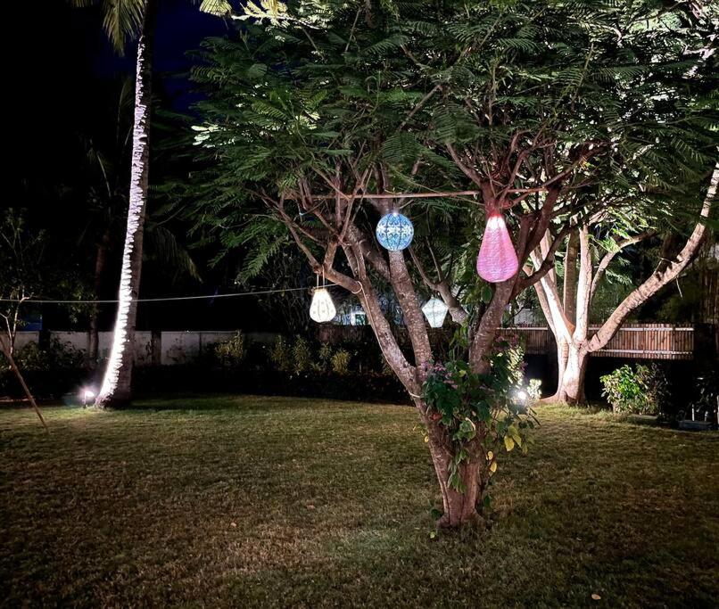 Rumah Marcus view 4