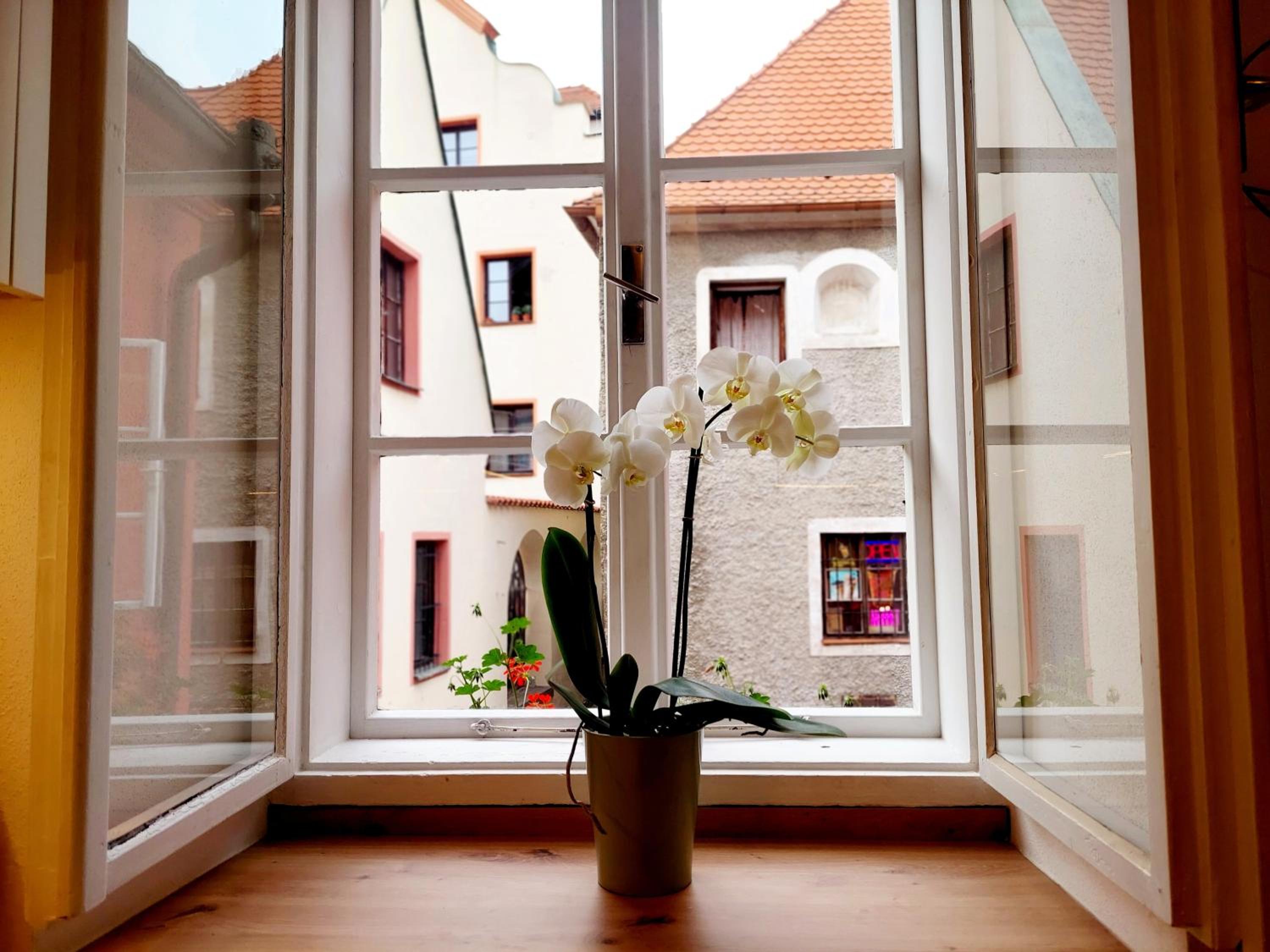 Old Town Living Apartments