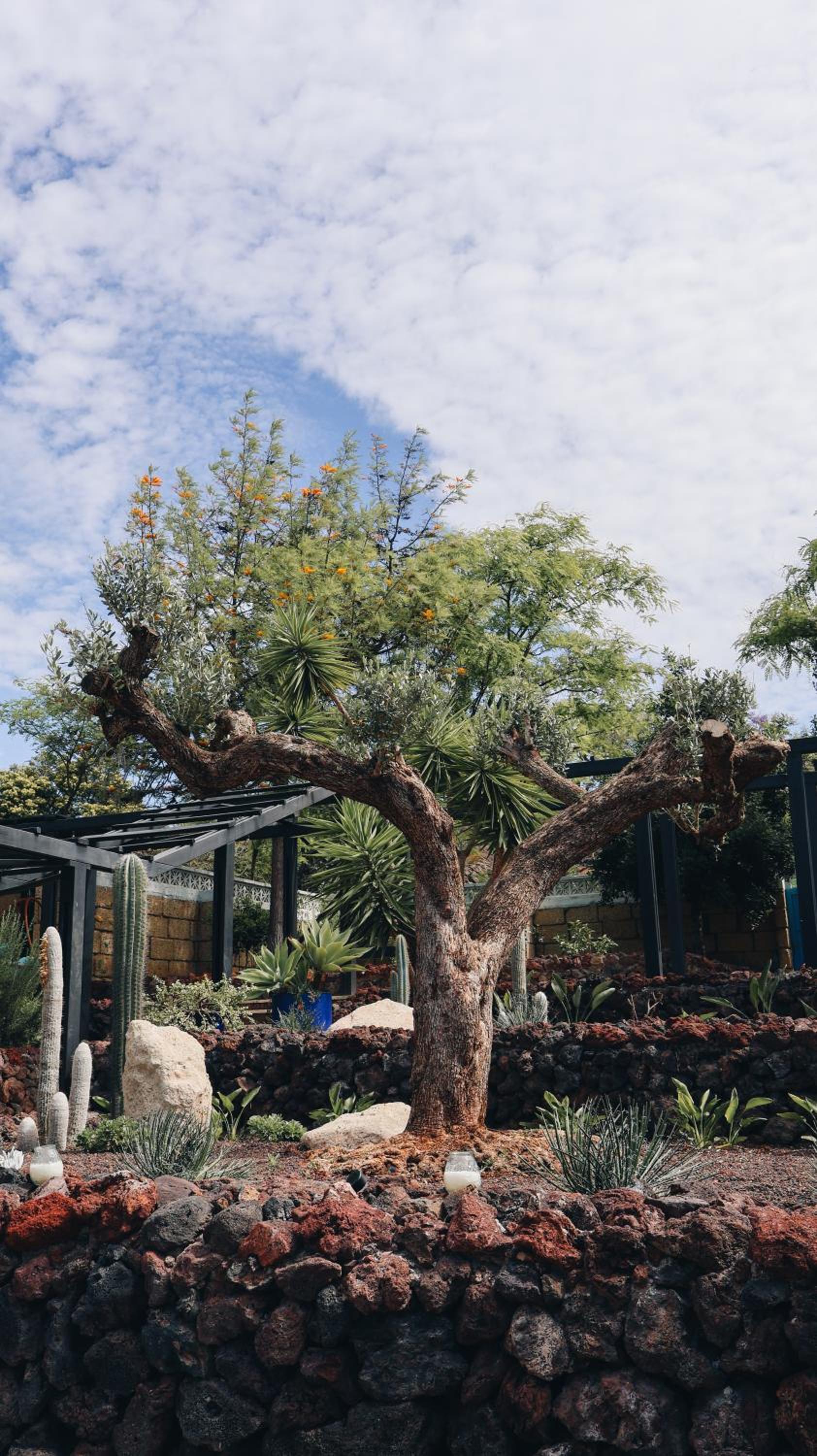 The Nest Tenerife