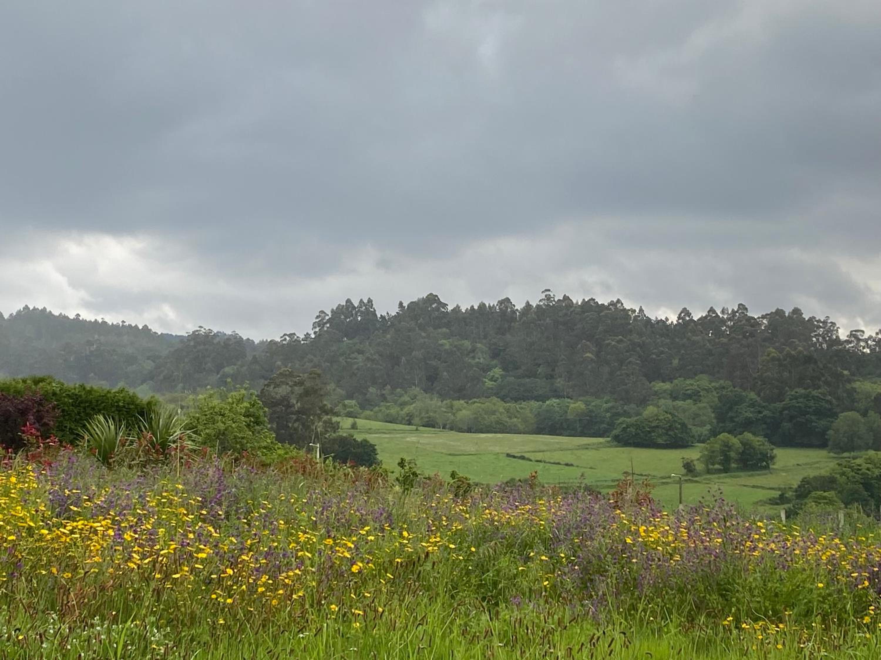Casa vanguardista en el campo cerca de Santiago
