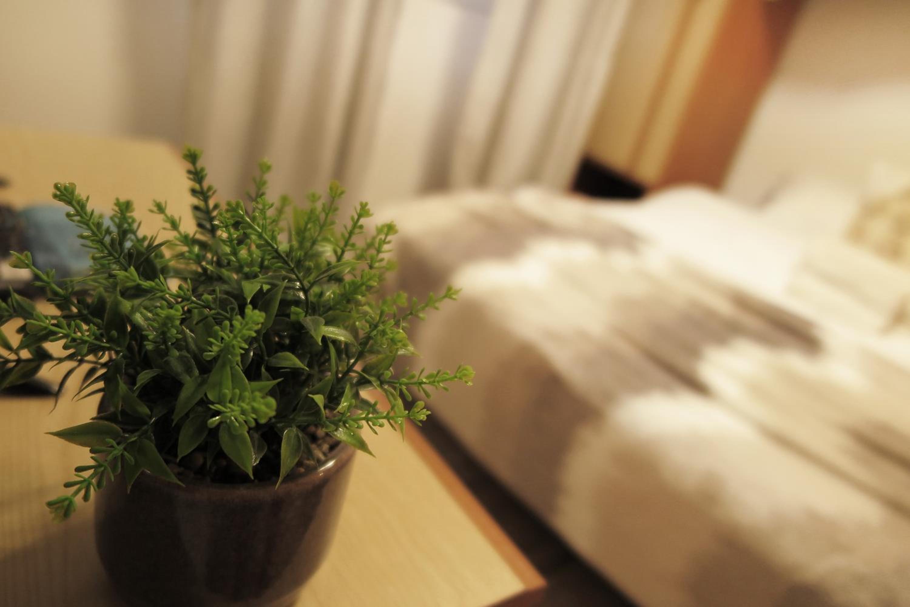 Cozy Studio Retreat - Quiet, Premium Stay