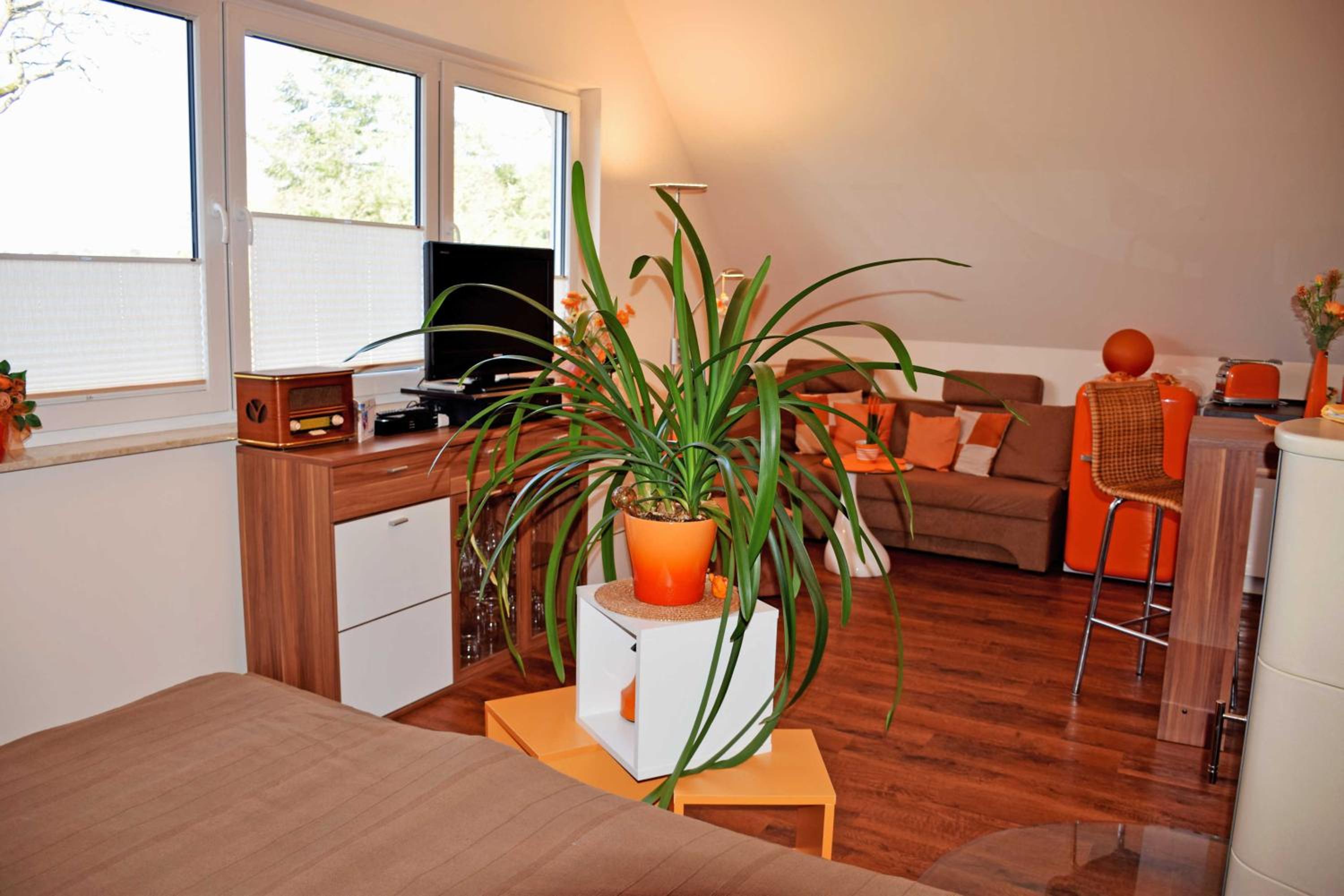 Gutshaus_Appartements mit Kamin_ S