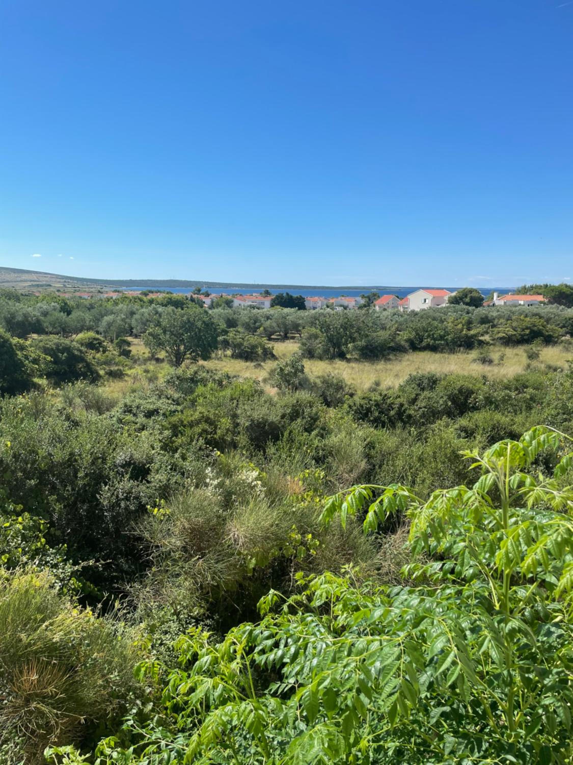 Apartments Pag-Travel