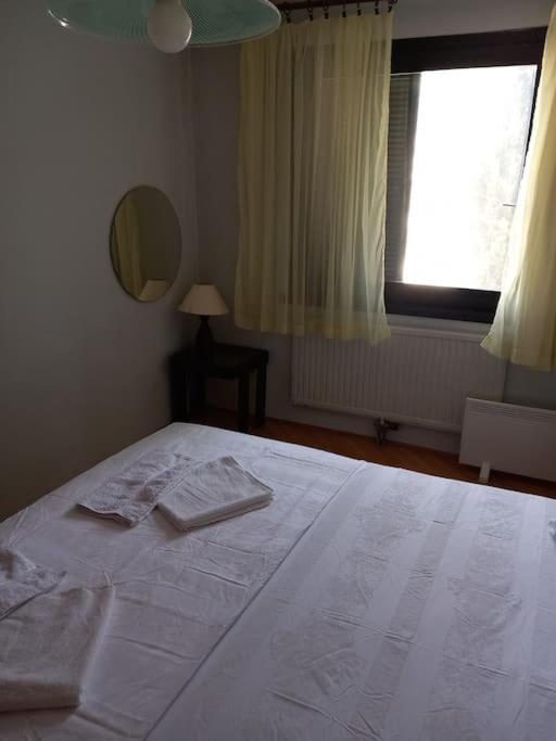 Large apartment near the sea view 3