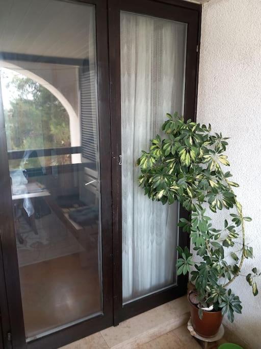 Large apartment near the sea view 4
