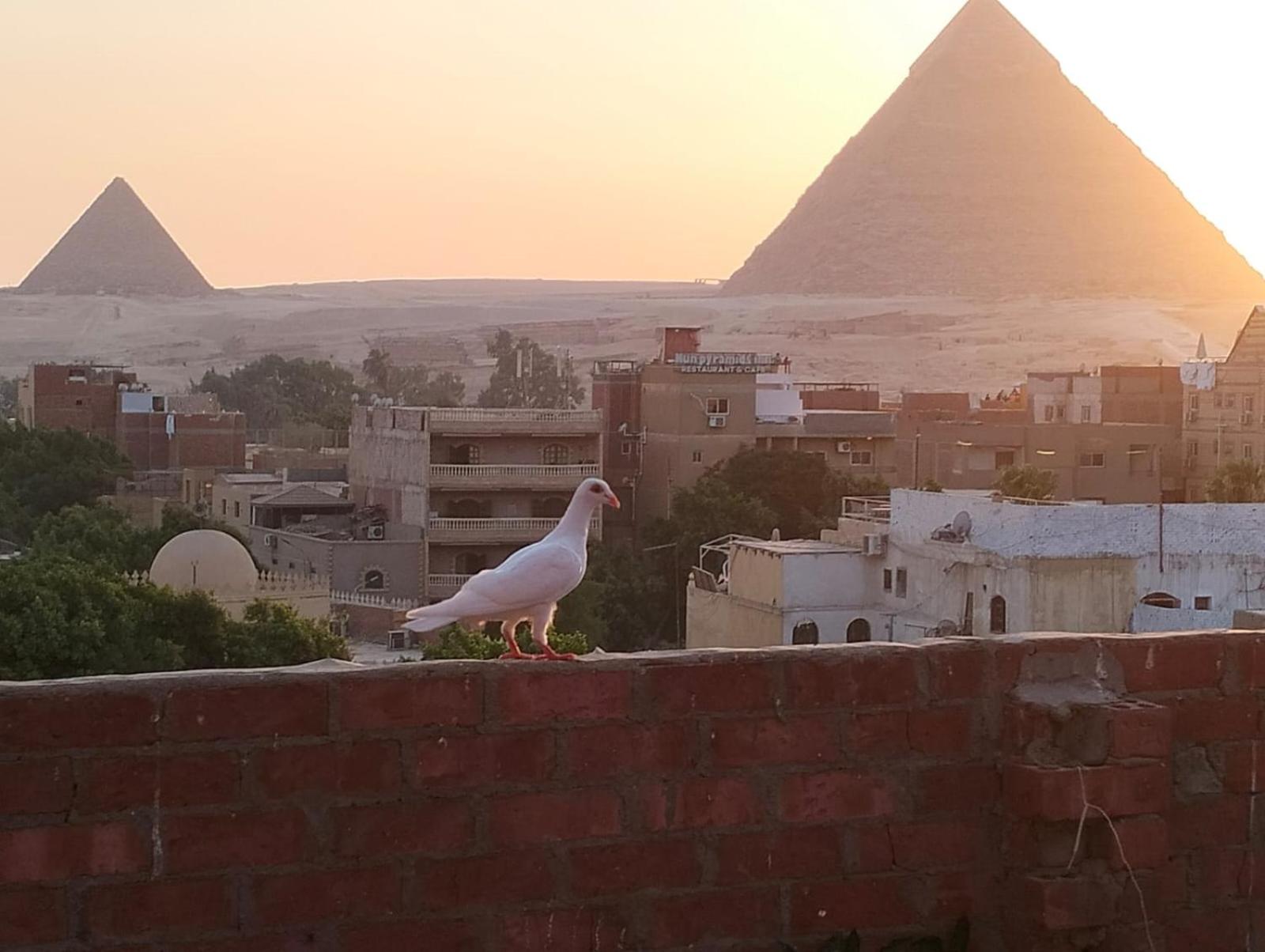 Ammar Pyramids View
