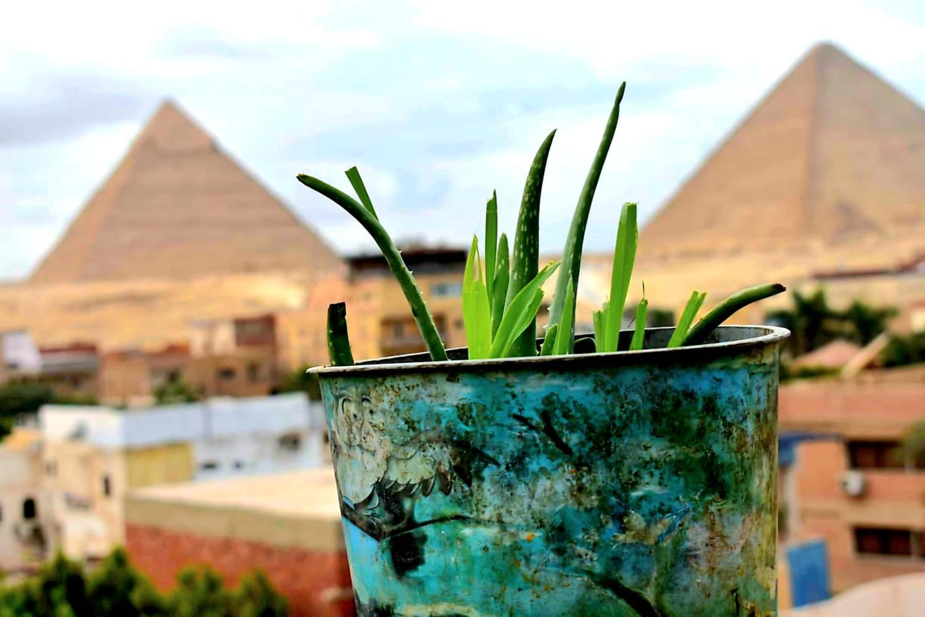Ammar Pyramids View