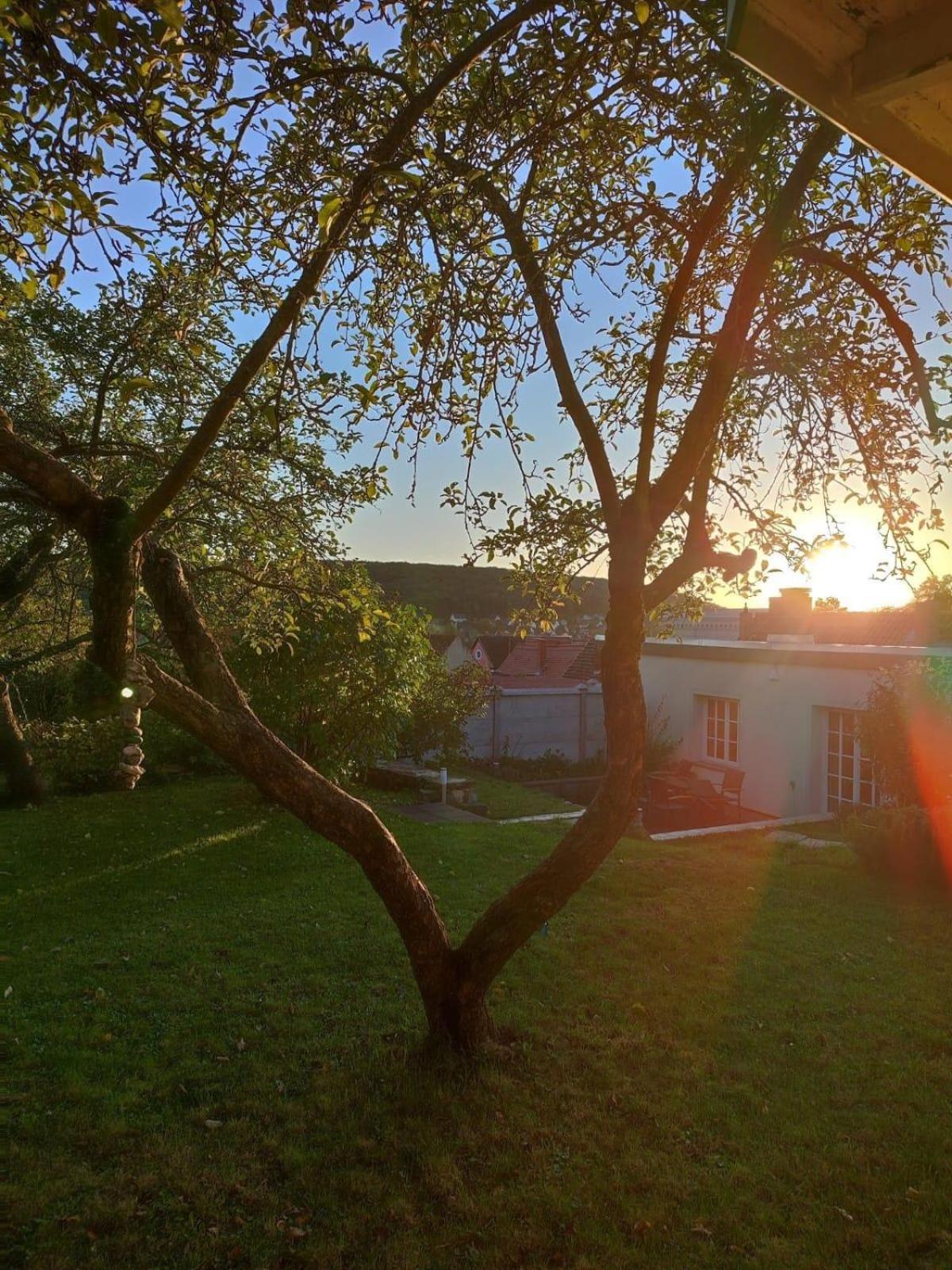 Ferienhaus Zur alten Korbmacherei view 5