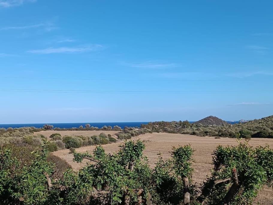 La casetta
