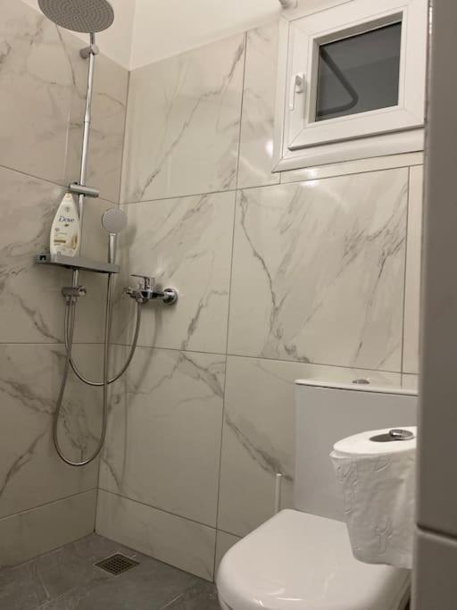 Urban Chic Flat Pagrati Athens