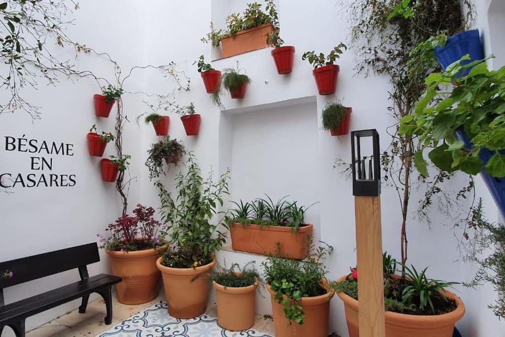 La Casa Colores
