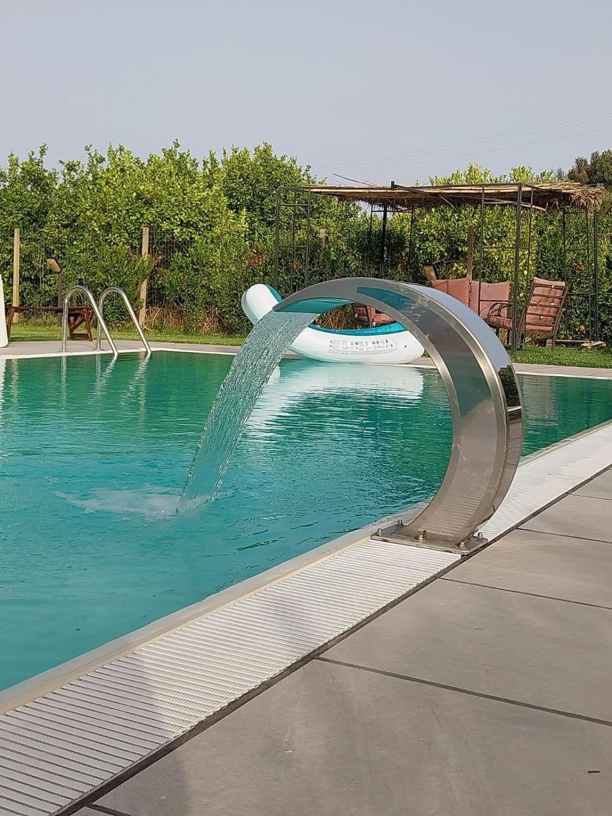 Green House La Torre photo 2