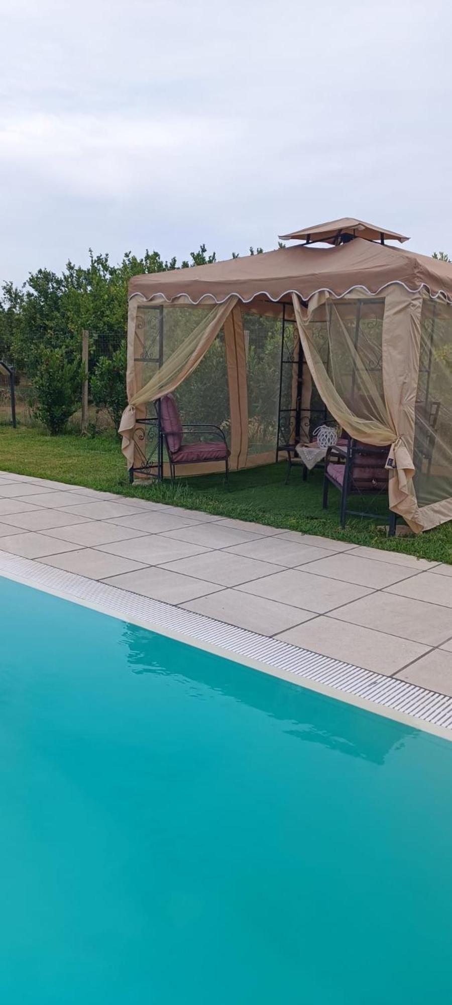 Green House La Torre photo 3