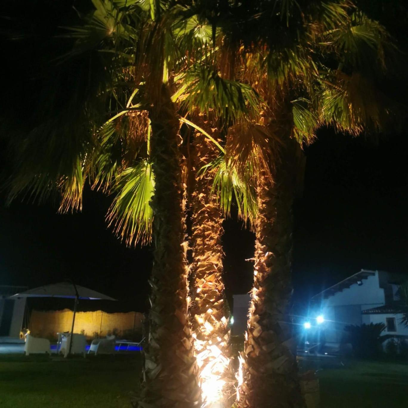 Green House La Torre photo 5