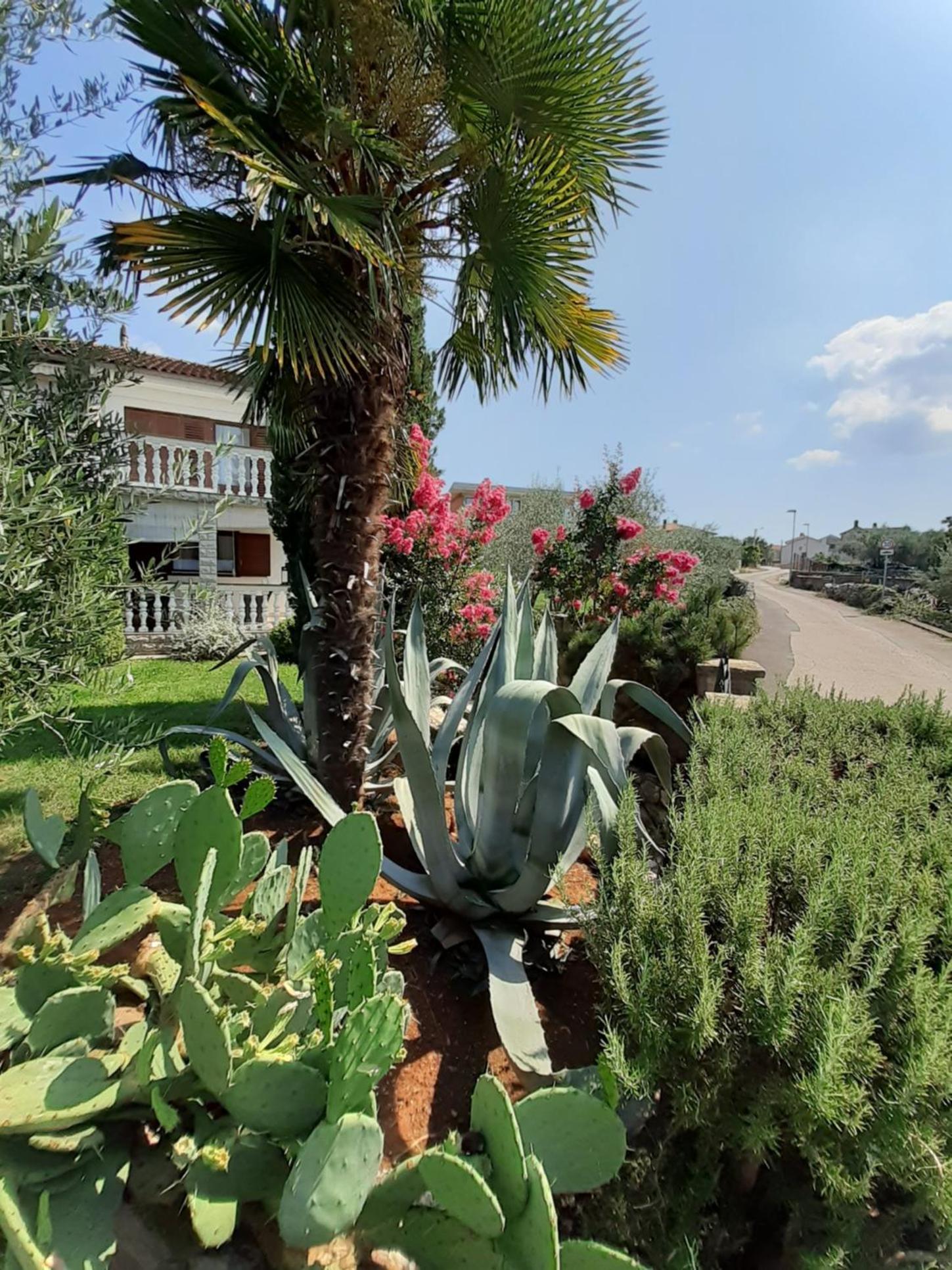 Holiday house on island of Krk view 2