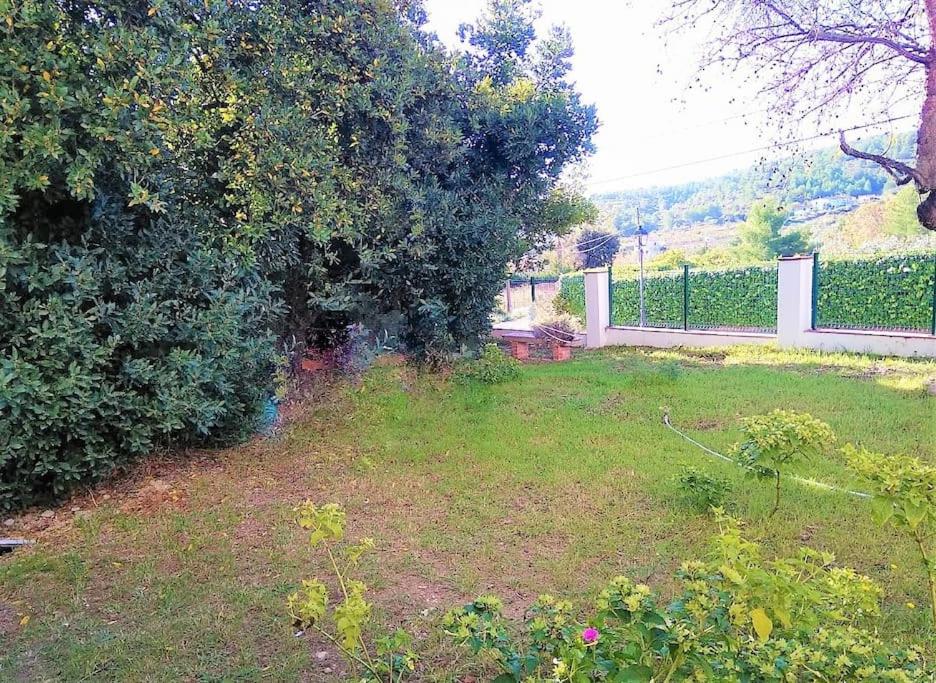 Photo 28