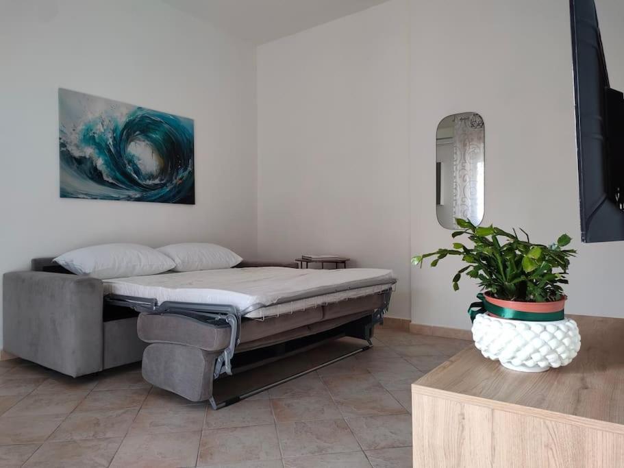 D'Amelio Sweet Home