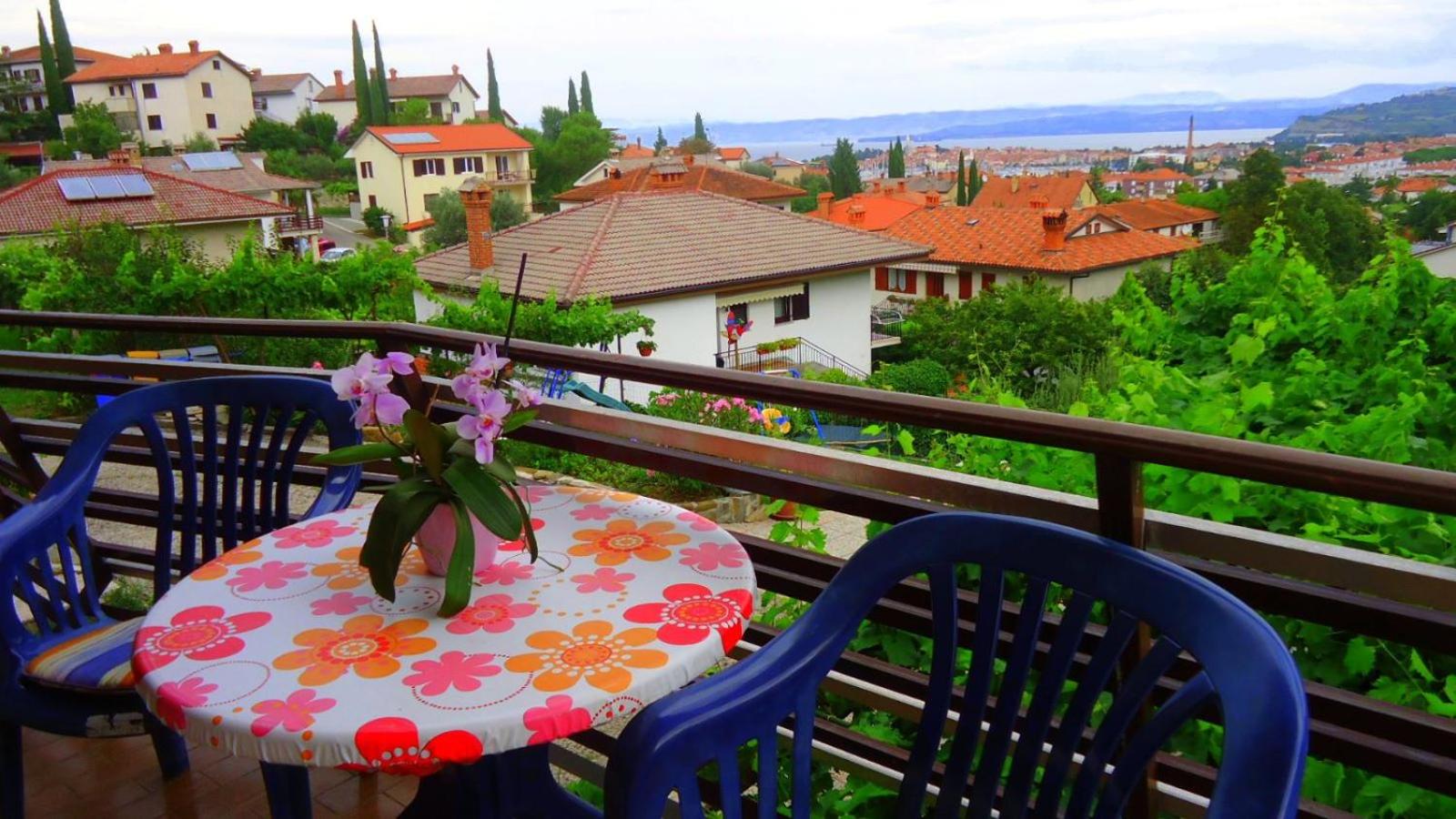 Apartma Vitez view 4