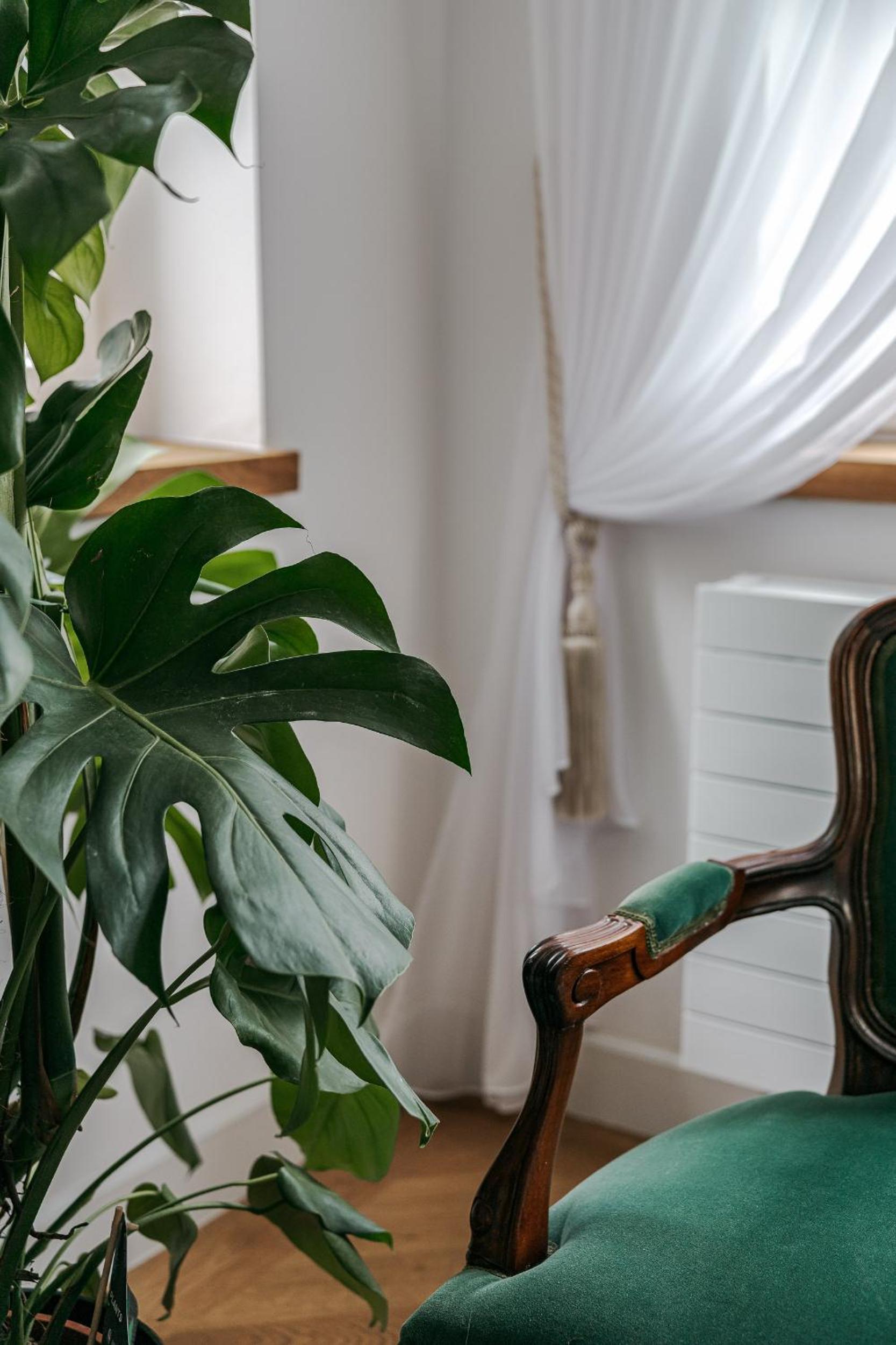 Vila Zlatý Slavík - Luxurious Villa with Spa