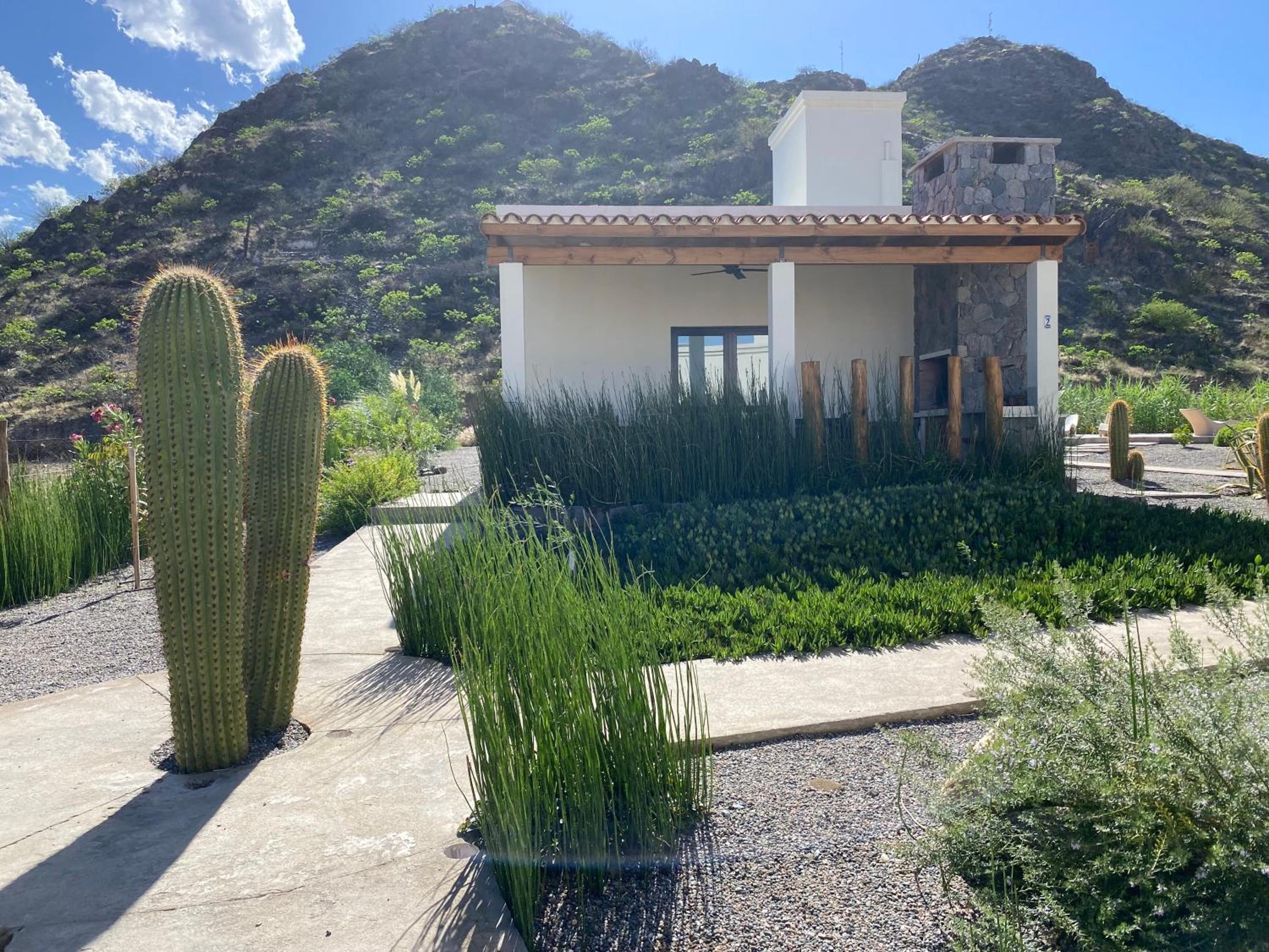 Complejo Los Olivos
