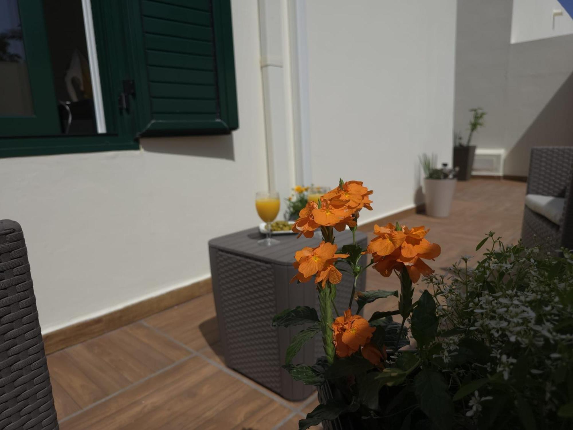 Bungalow Aqua Sol - Playa Roca residence - Sea front access - Free AC - WiFi photo 4