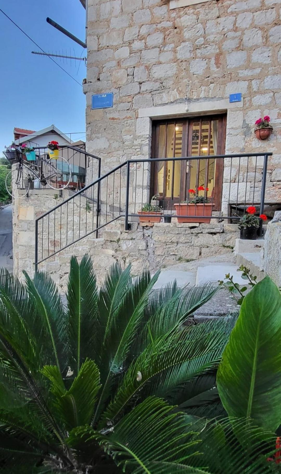 Apartman Belina