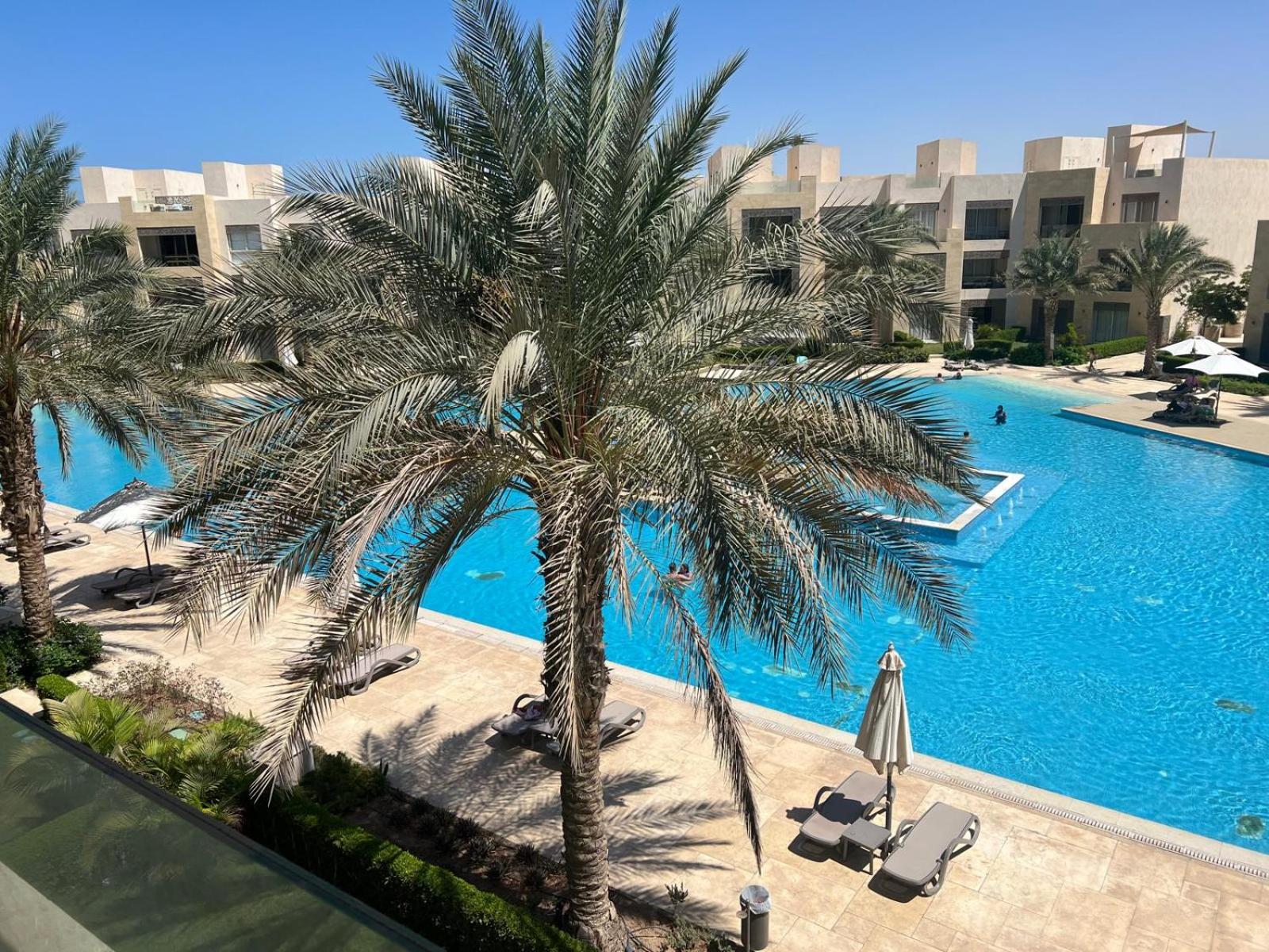 Mangroovy el gouna