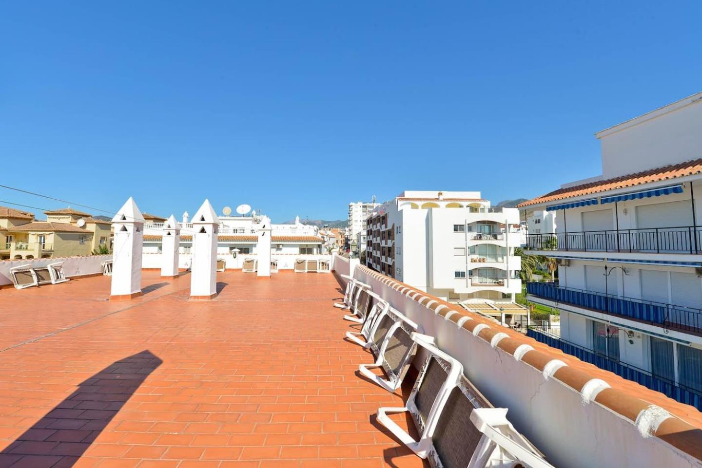 carabeo perla POOL CENTRO