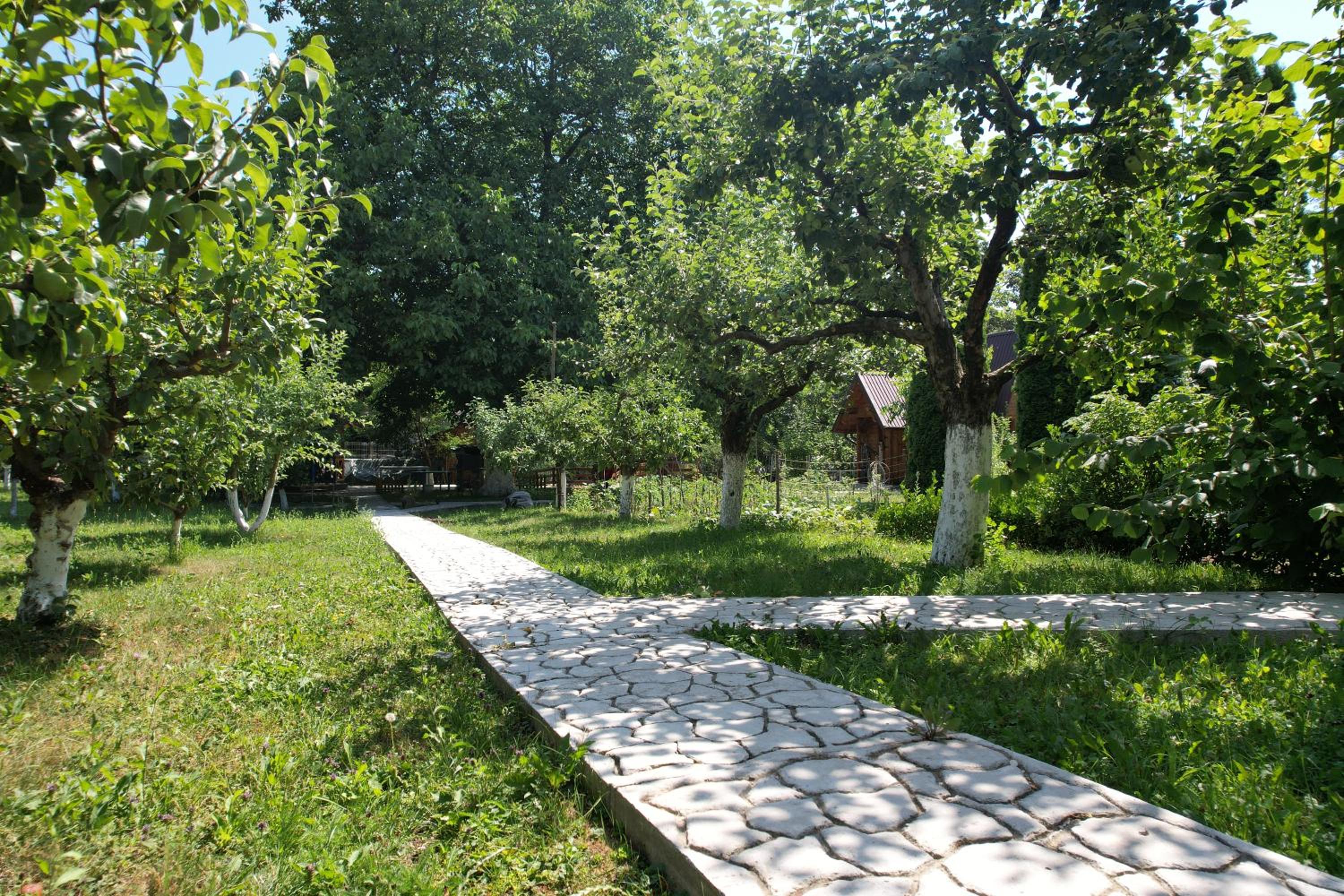 Casa Stefandra