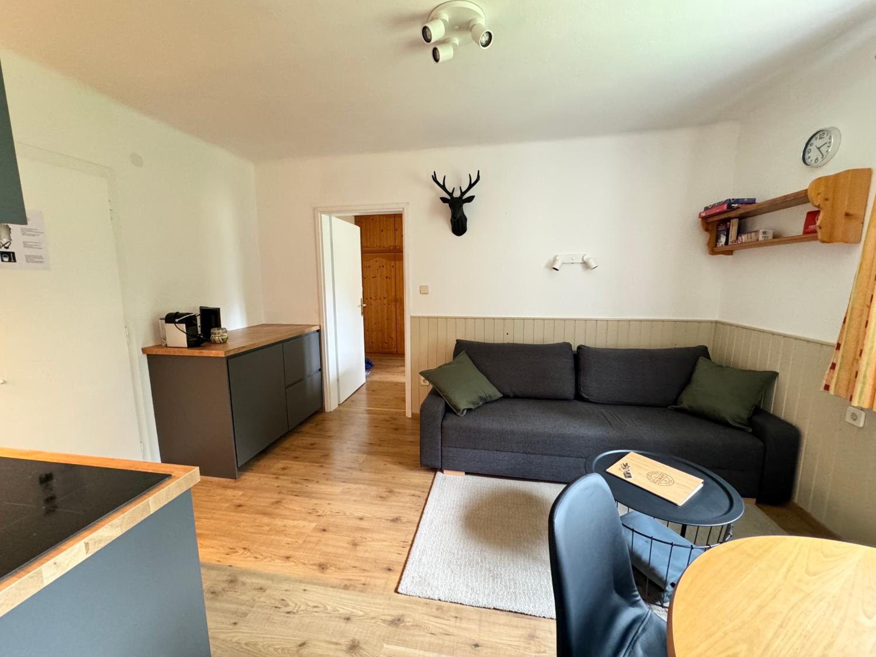 AH Carinthia Mallnitz - Carinthia Appartements