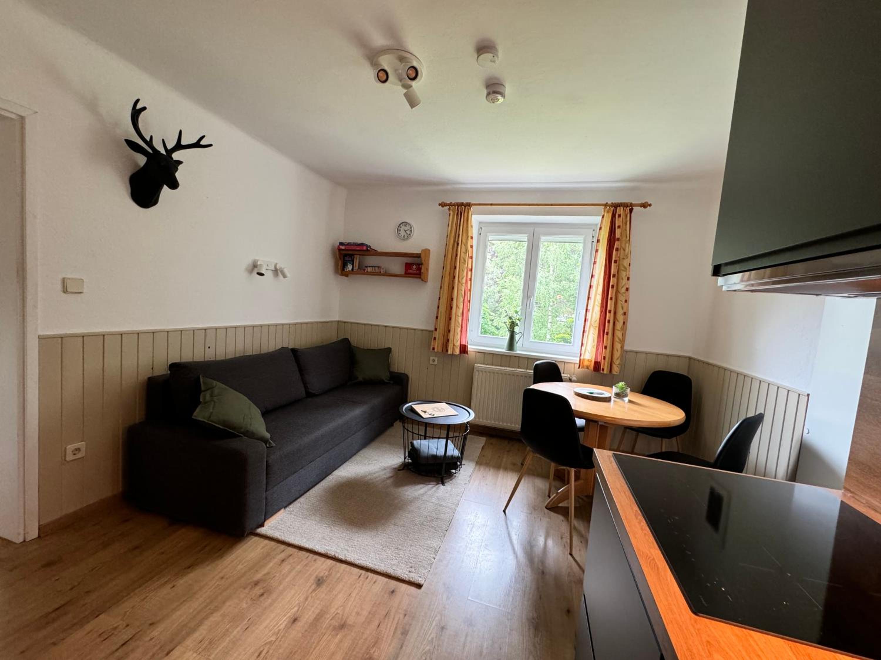 AH Carinthia Mallnitz - Carinthia Appartements