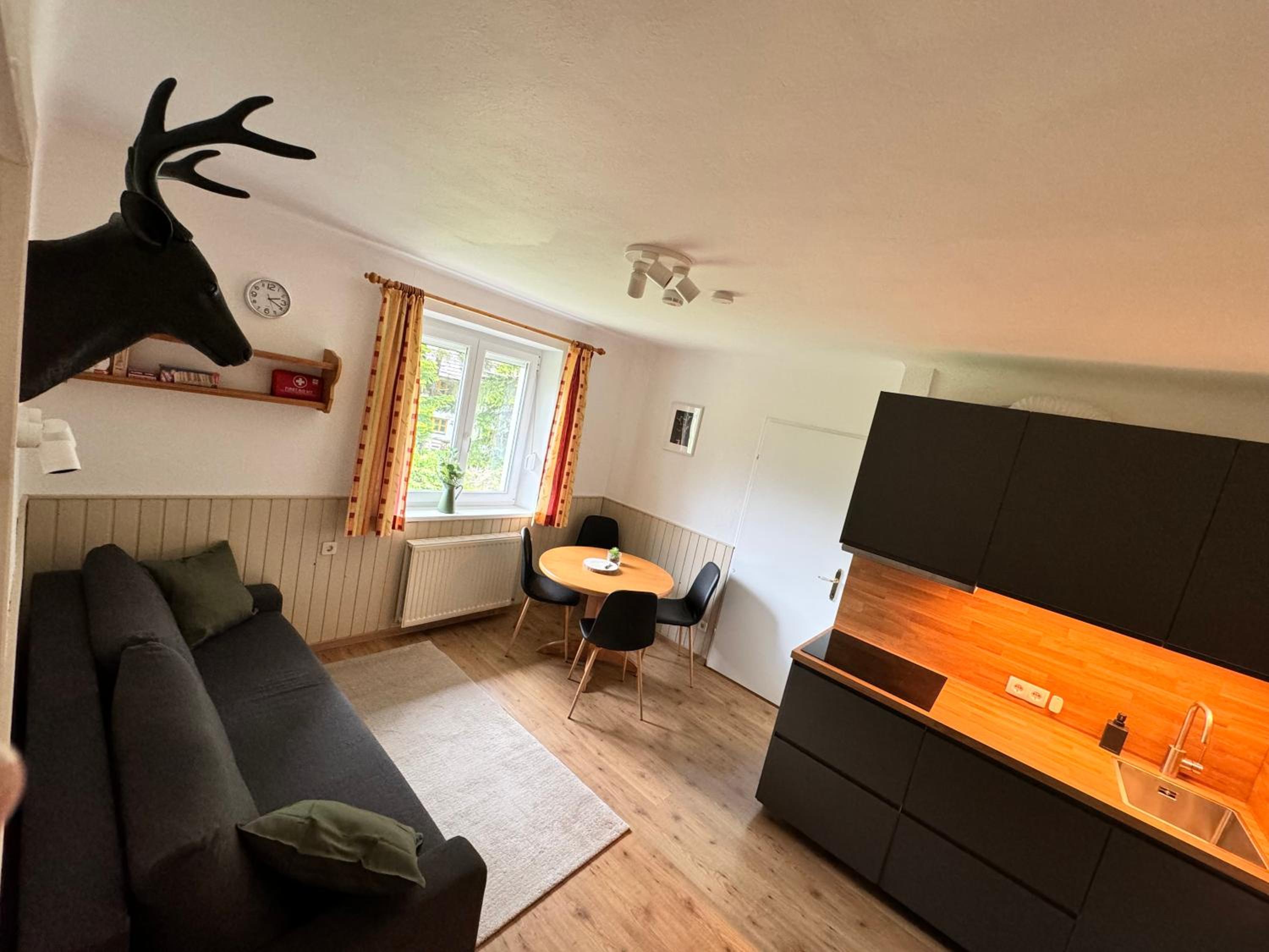 AH Carinthia Mallnitz - Carinthia Appartements