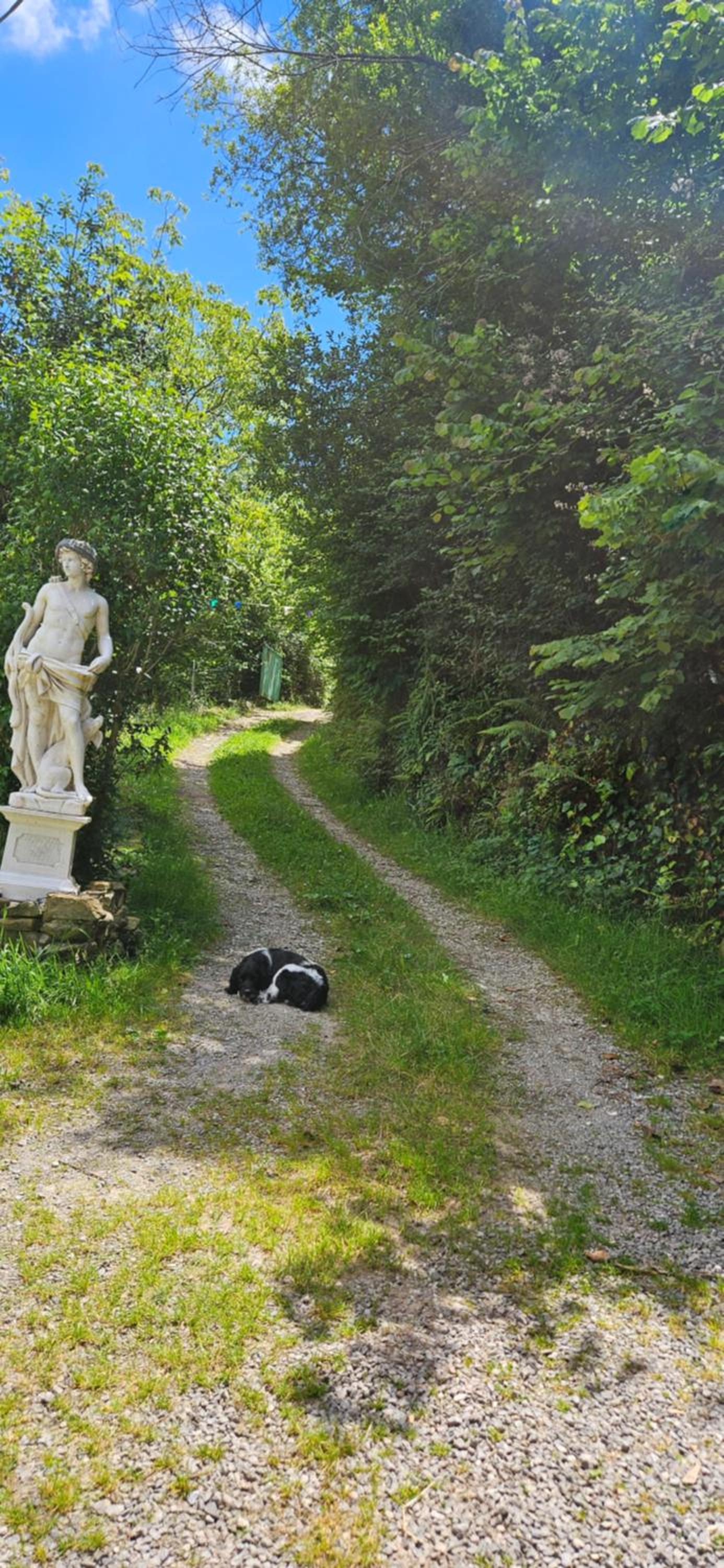 Finca la Vegacha casa tradicional pasiega