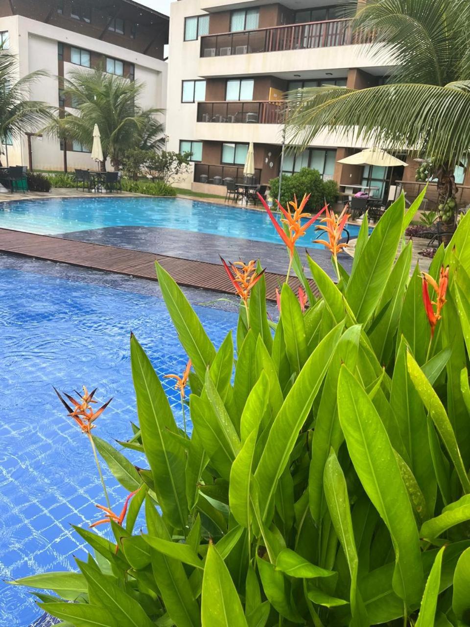 Resort em Porto de Galinhas- Flat Térreo Frente Piscinas- Muro Alto-B18